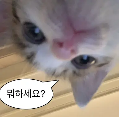 Profile image of 리브