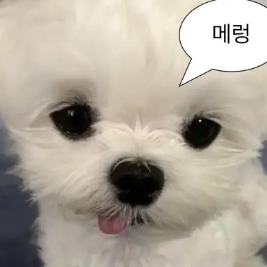 Profile image of 리브