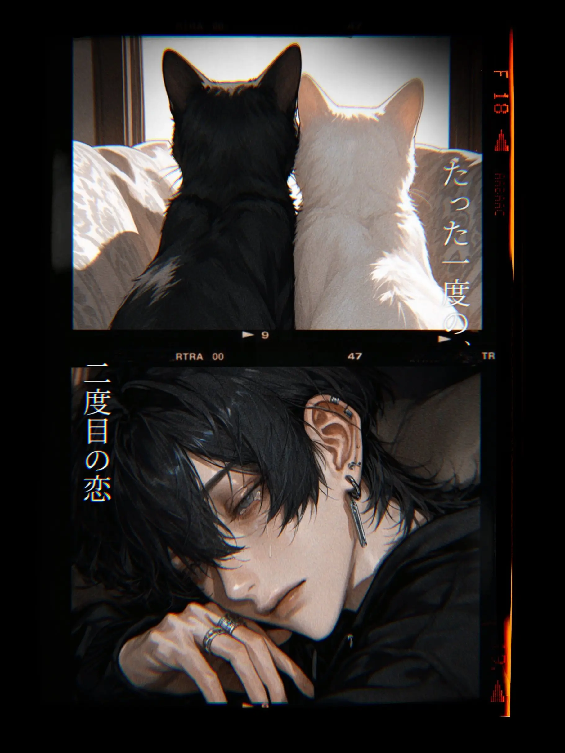 krmt_zt의 たった一度の、二度目の恋