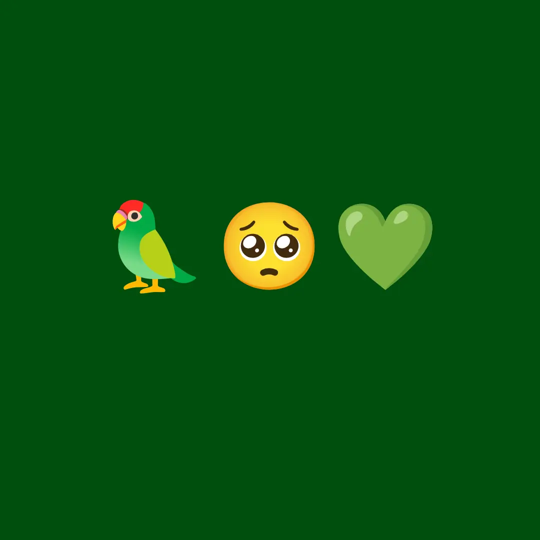 SalmonDisc7608의 ‪🦜‬🥺💚