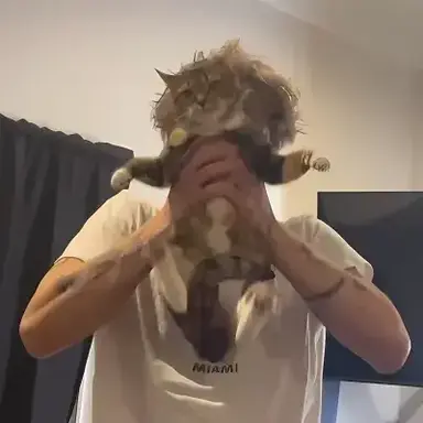 Profile image of Elias