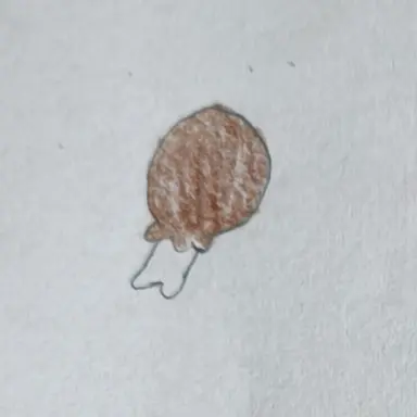 Profile image of シェド