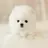 뽀삐