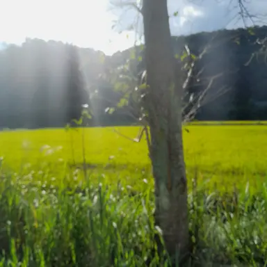 Profile image of 세계관