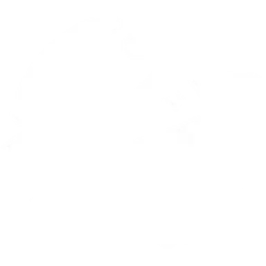 Profile image of 마시로
