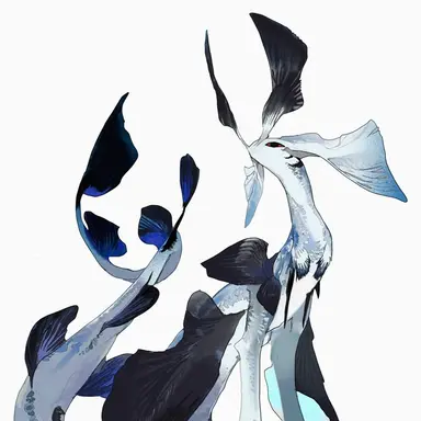 Profile image of 벨라트레이