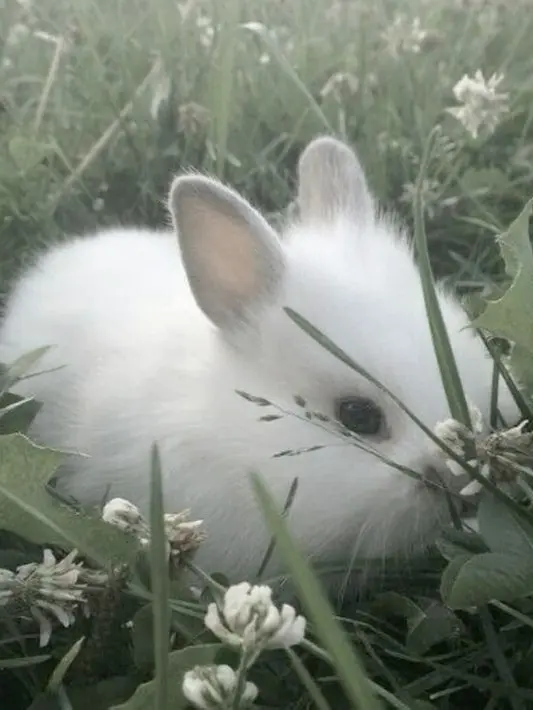 Hi_9의 여자 리암 슈미트^^