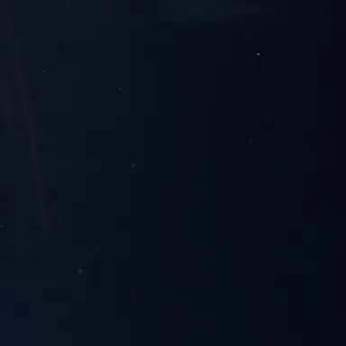 Profile image of 柊