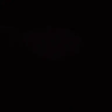 Profile image of 제노 휴스턴 윙필드