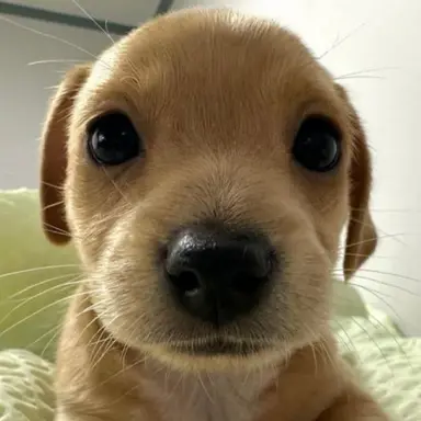 Profile image of 지후