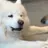히릿