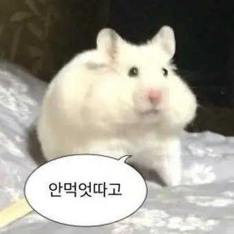 Profile image of 쿠스리