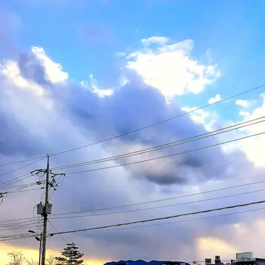 Profile image of 수현