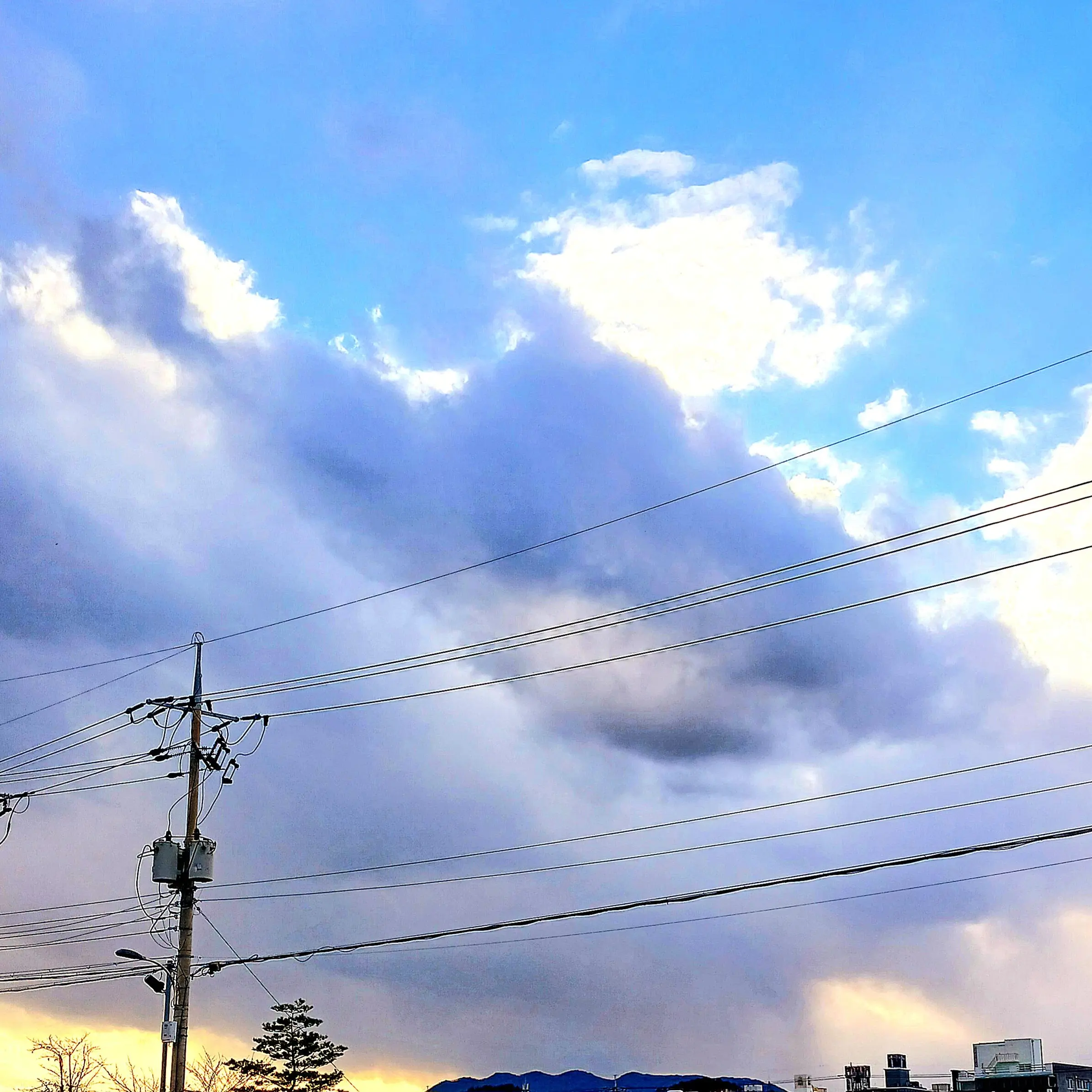 DemureLeech3234의 디스코드에서 만난 변테