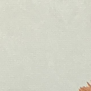 최동준 대표 이미지