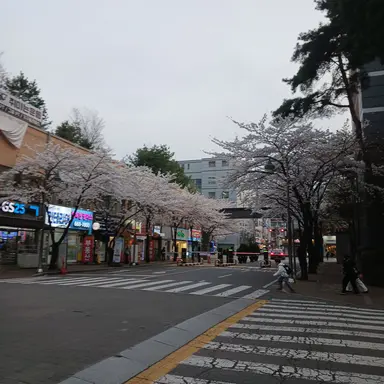 Profile image of 멜로우