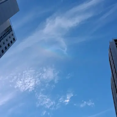 Profile image of 잠뜰