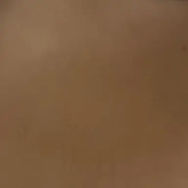 Profile image of しおん