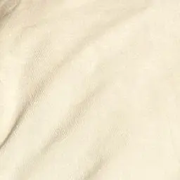 Profile image of りく