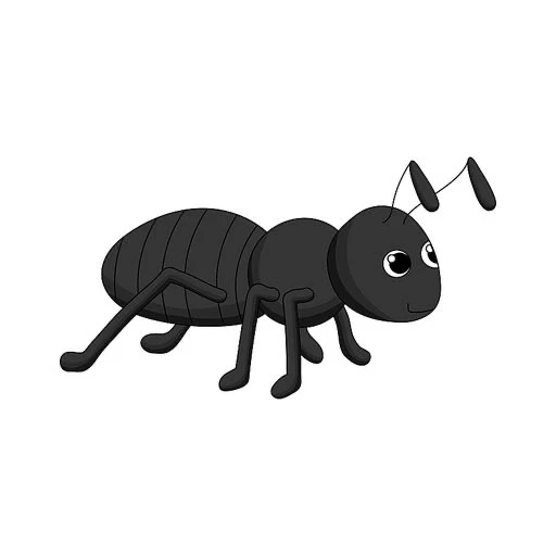 세이