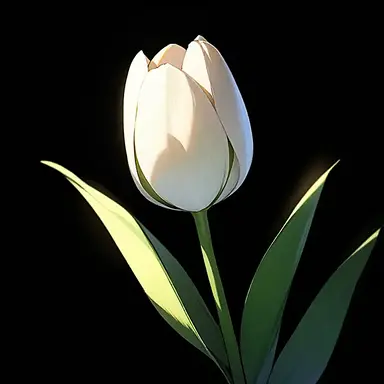 Profile image of 최이준