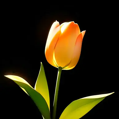 Profile image of 최석현