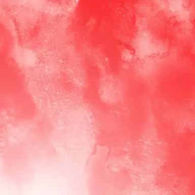 Profile image of 西畑大吾