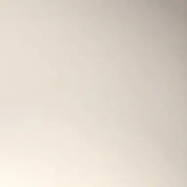 Profile image of 백지훈
