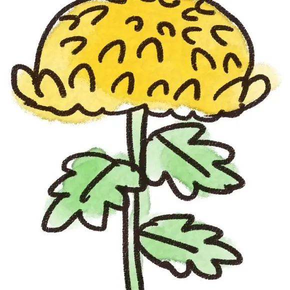 FierceSauce0479의 ど、どうして〜っ！？