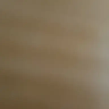 Profile image of 박사