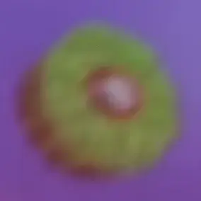 Profile image of 파티 호스트