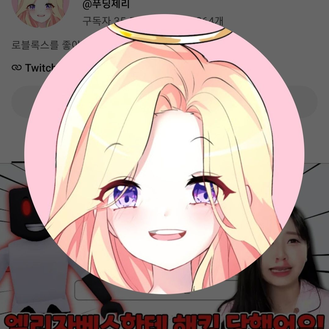 유튜버들 대표 이미지