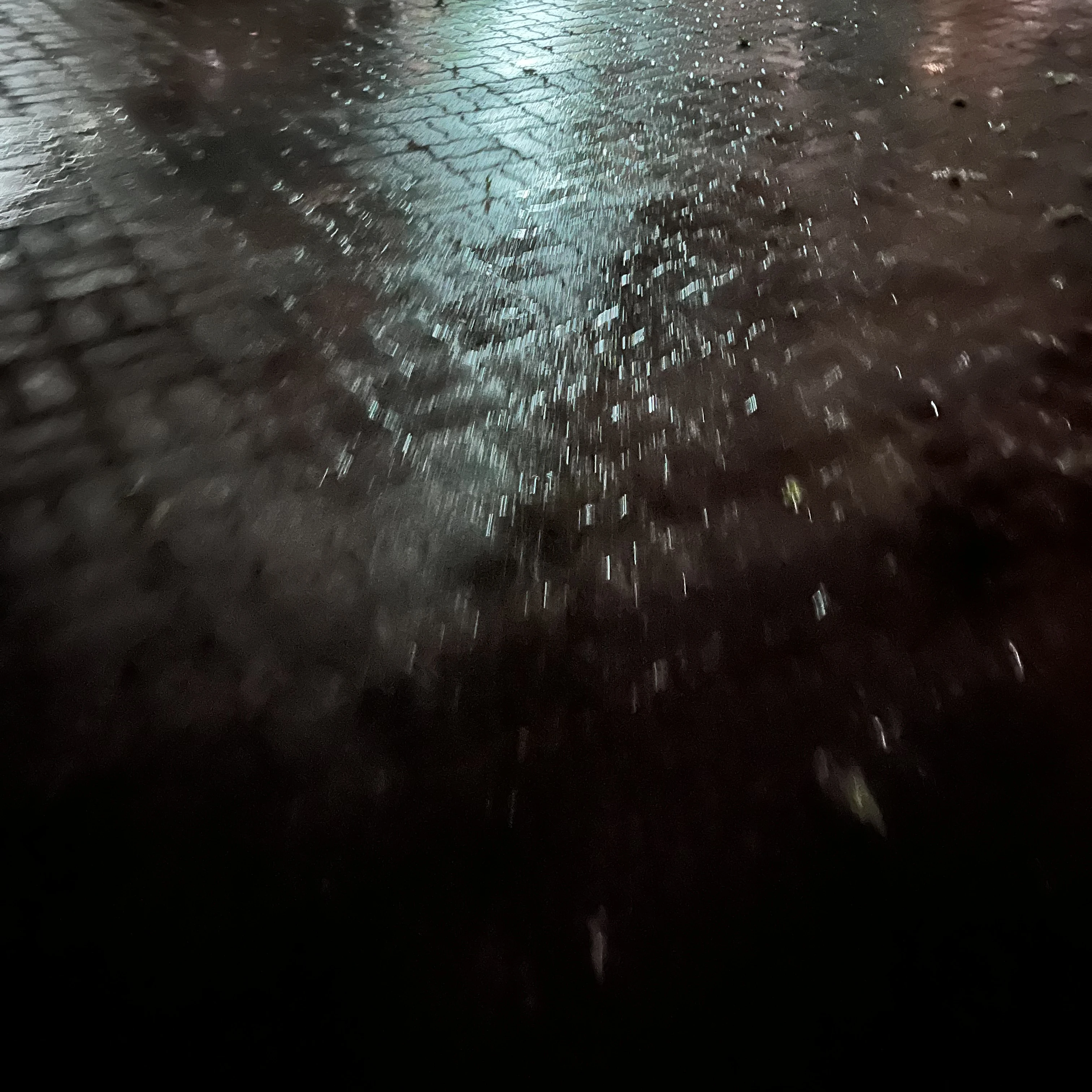 권지용