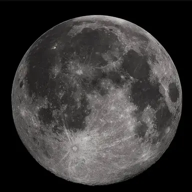 Profile image of 달