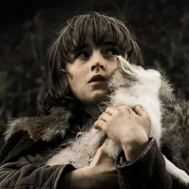 Profile image of Bran Stark