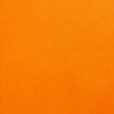 Profile image of 向井こうじ