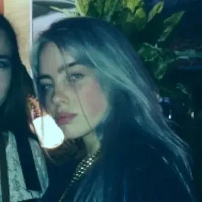 HeftyFlash7276의 billie ellish