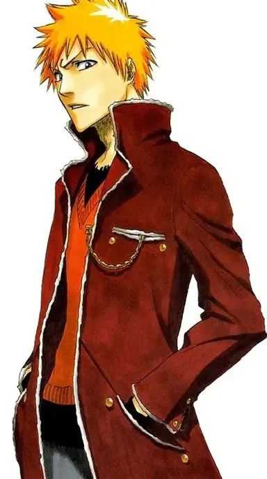 Profile image of Ichigo