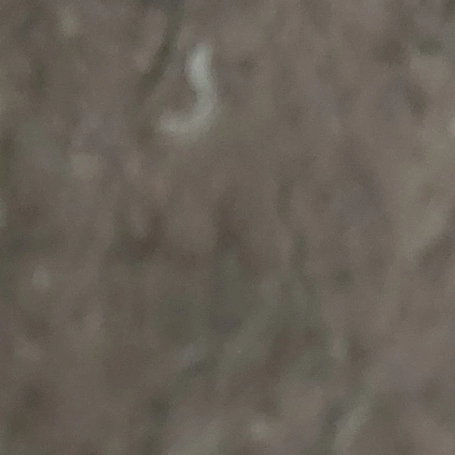 어