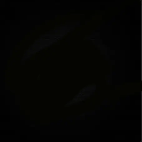 Simple_person의 테스트
