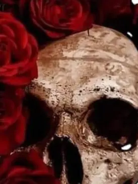 Rheume의 흉탄의 사수