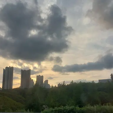 Profile image of 고고프랜즈