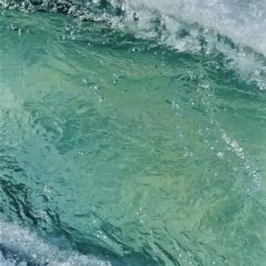 Profile image of 로렌
