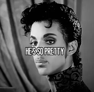 Profile image of Prince