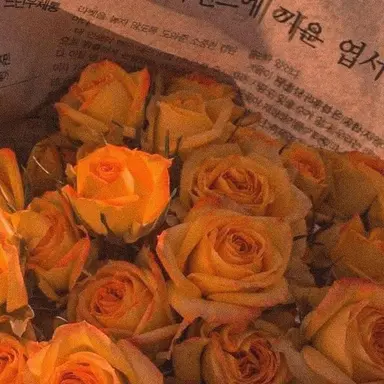 Profile image of 코마
