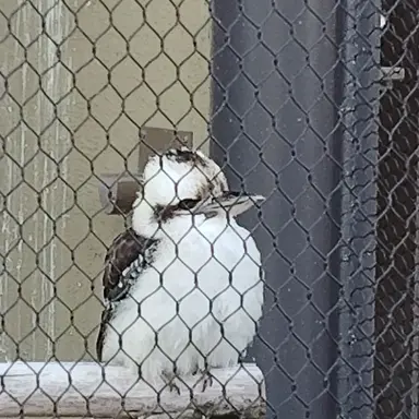 Profile image of BABY MONST