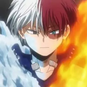 Profile image of Shoto Todoroki