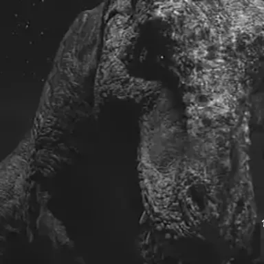 Profile image of 티라노사우루스