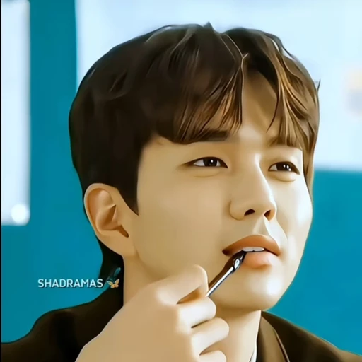 정규정