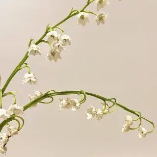 Profile image of ㅊㅁ